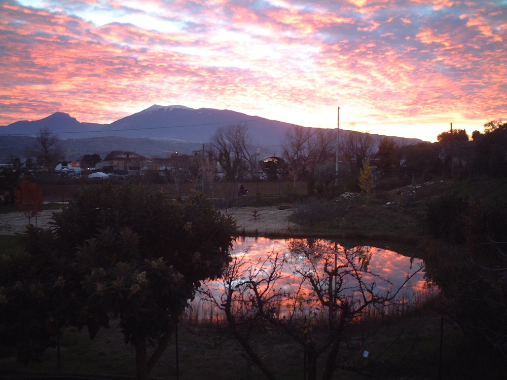 Bisogno di aiuto in Provincia di Ascoli